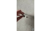 Náhradní šroub pro směrový sloupek Z11h Náhradní šroub pro směrový sloupek Z11h